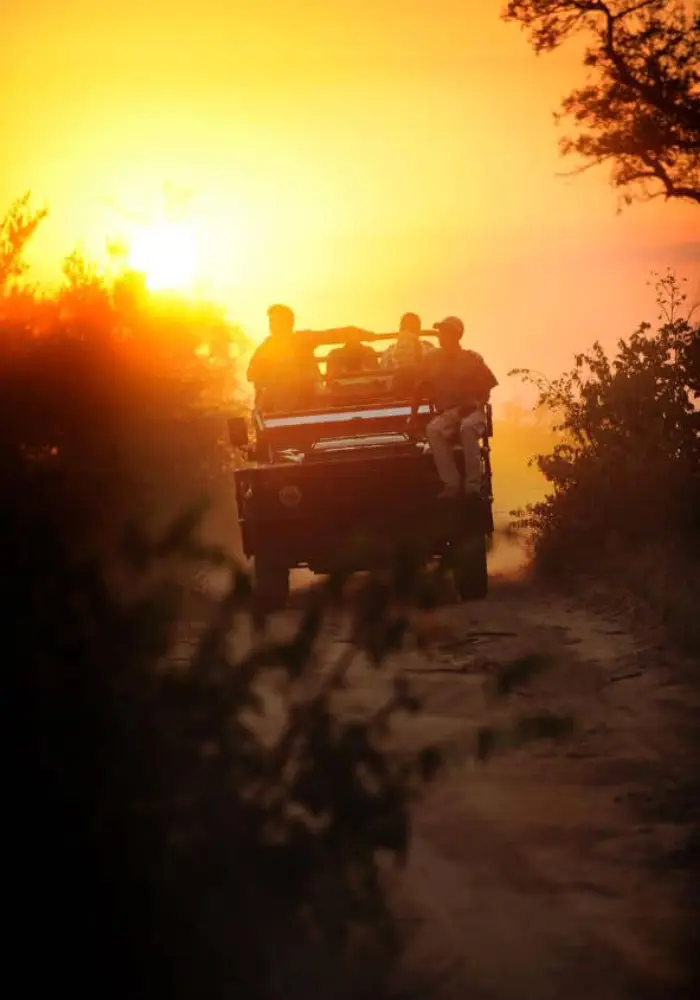 Lifetime Safaris