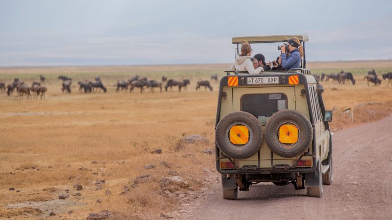 Tanzania Safari Experience