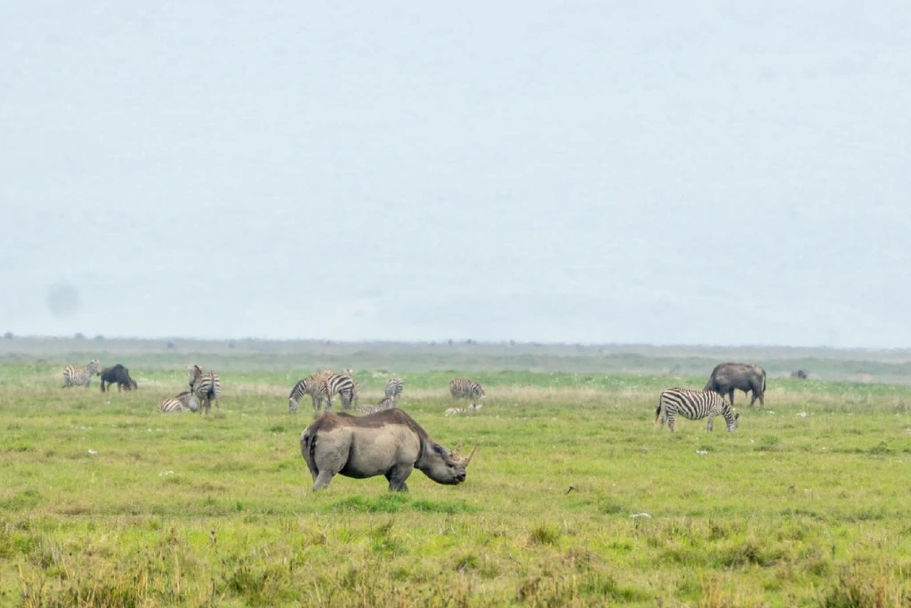 Ngorongoro Attractions