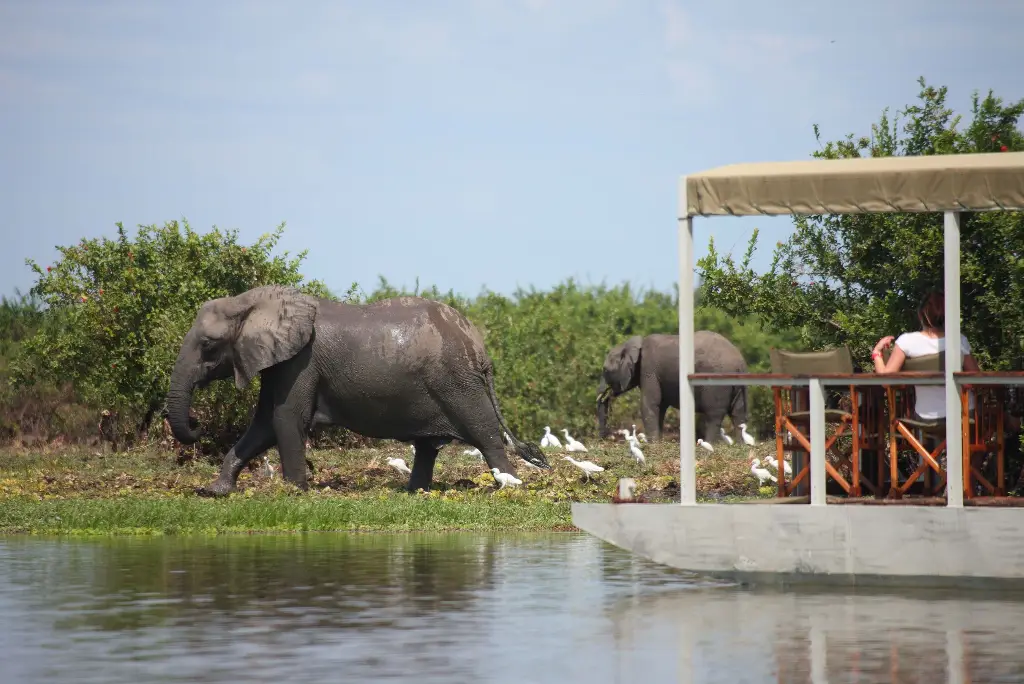 10-day-selous-mafia-island-safari-itinerary2