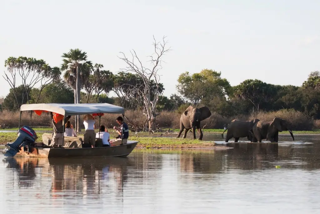10-day-selous-mafia-island-safari-itinerary3