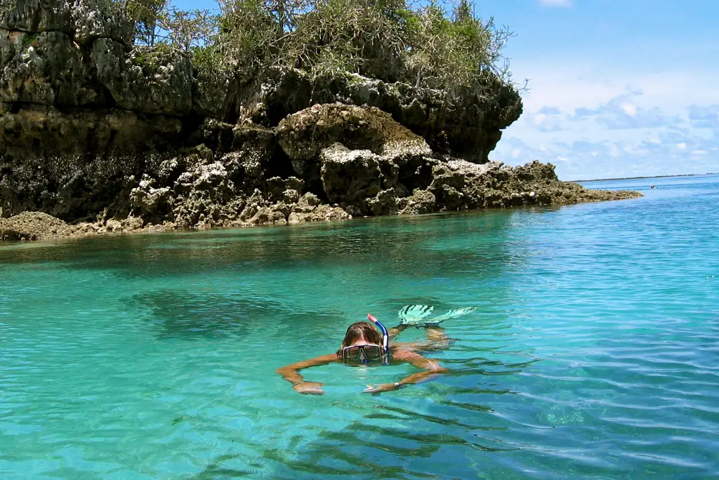 10-day-selous-mafia-island-safari-itinerary4
