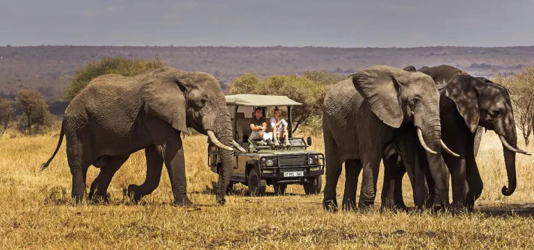 10  Days  Tanzania Safari & Beach Holiday | Selous, Ruaha & Mafia Island