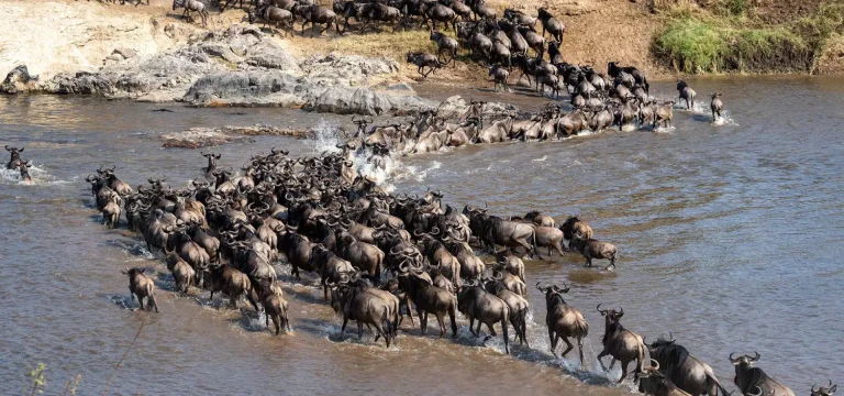 10  Days  Serengeti Great Migration Safari Itinerary – Ngorongoro, Tarangire & Eyasi