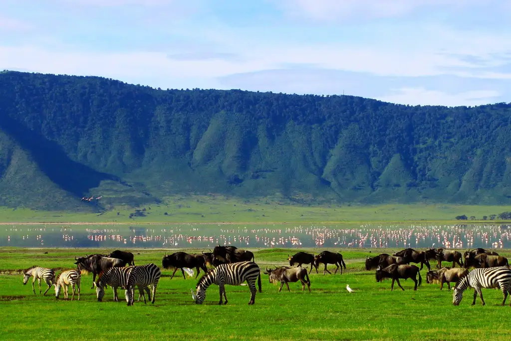 10-day-serengeti-migration-safari-itinerary2