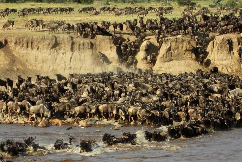 10-day-serengeti-migration-safari-itinerary3