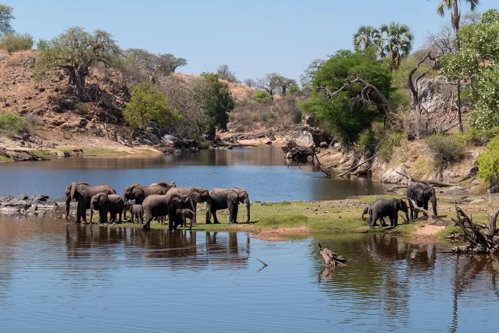 10-day-southern-tanzania-camping-safari-mikumi-ruaha-uluguru3