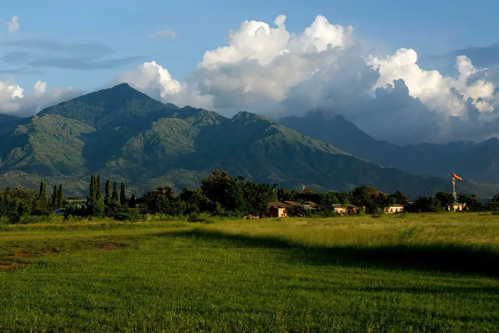 10-day-southern-tanzania-camping-safari-mikumi-ruaha-uluguru7