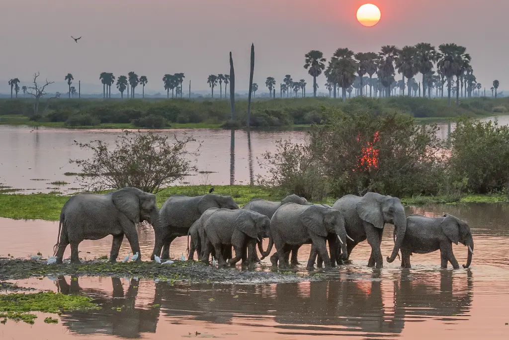 10-day-southern-tanzania-safari2