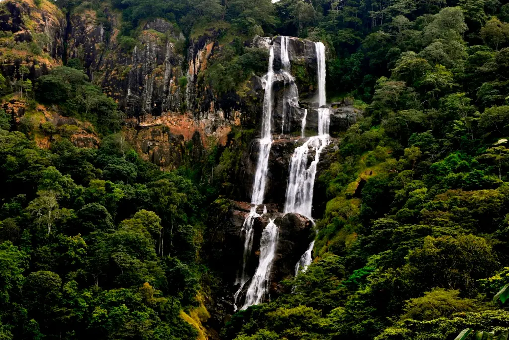 10-day-southern-tanzania-safari9