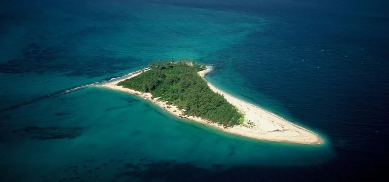 10  Days  Tanzania Safari & Mafia Island Itinerary – Selous, Ruaha & Beach Holiday