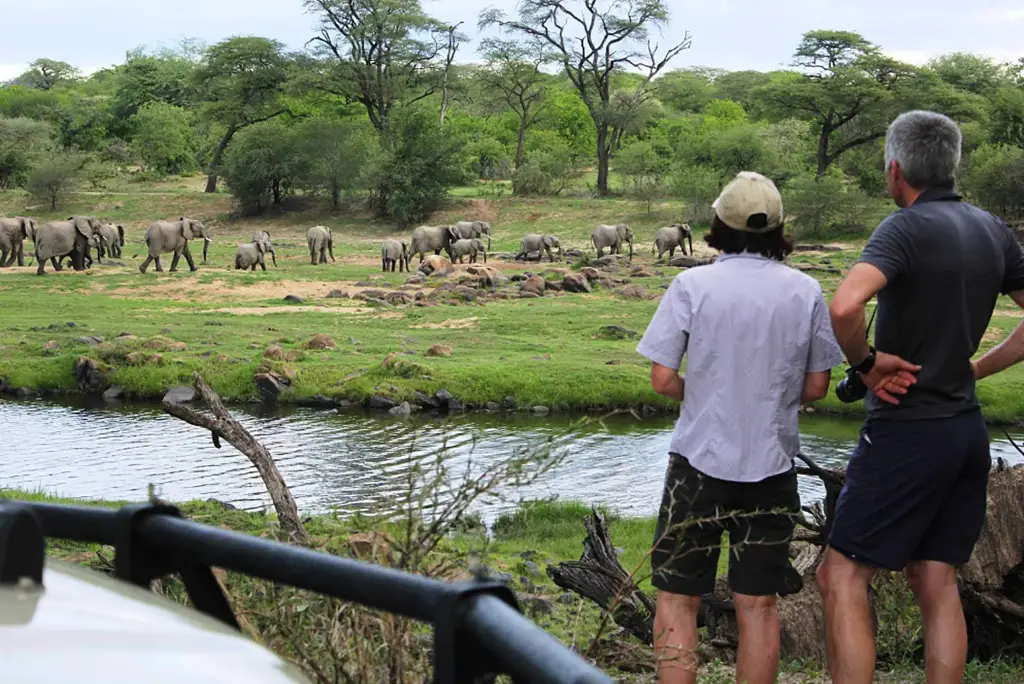 10-day-tanzania-safari-mafia-island-itinerary2