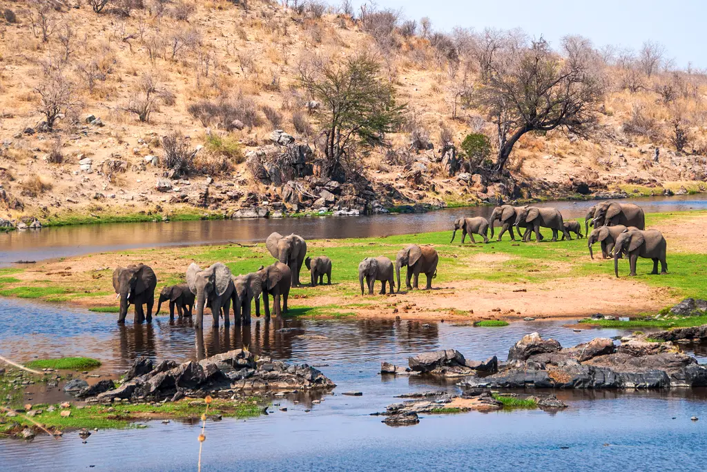 10-day-tanzania-safari-mafia-island-itinerary3