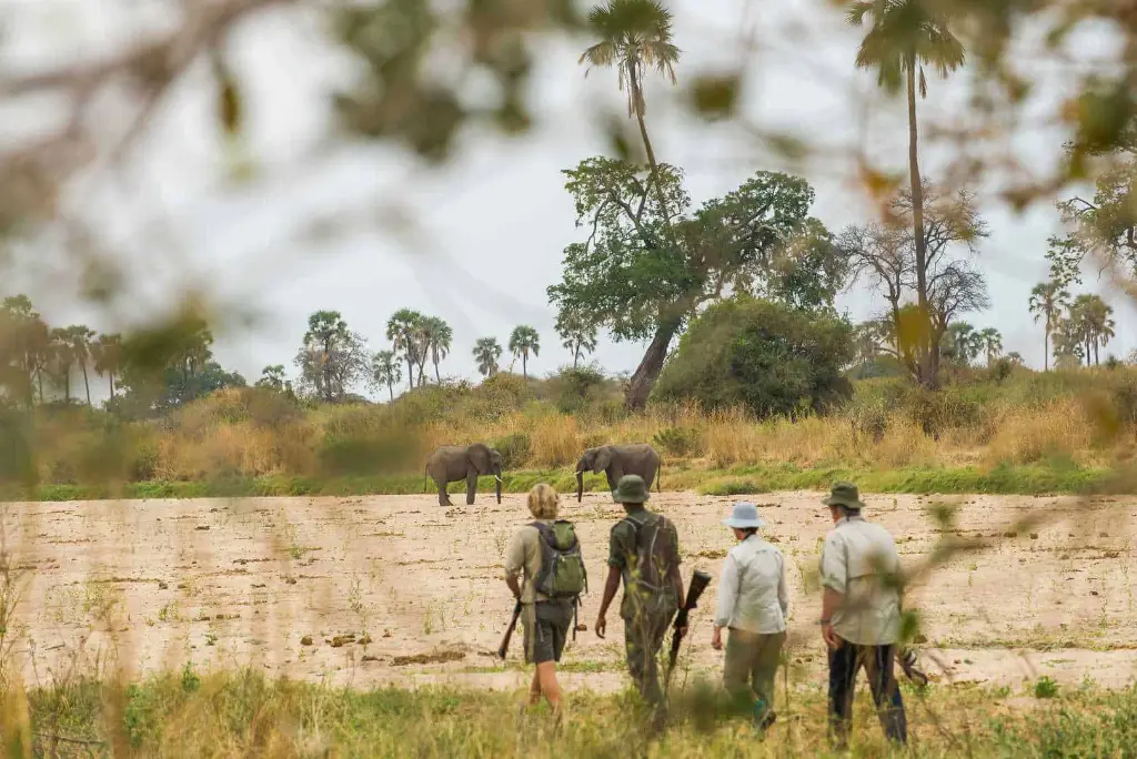 10-day-tanzania-safari-mafia-island-itinerary5