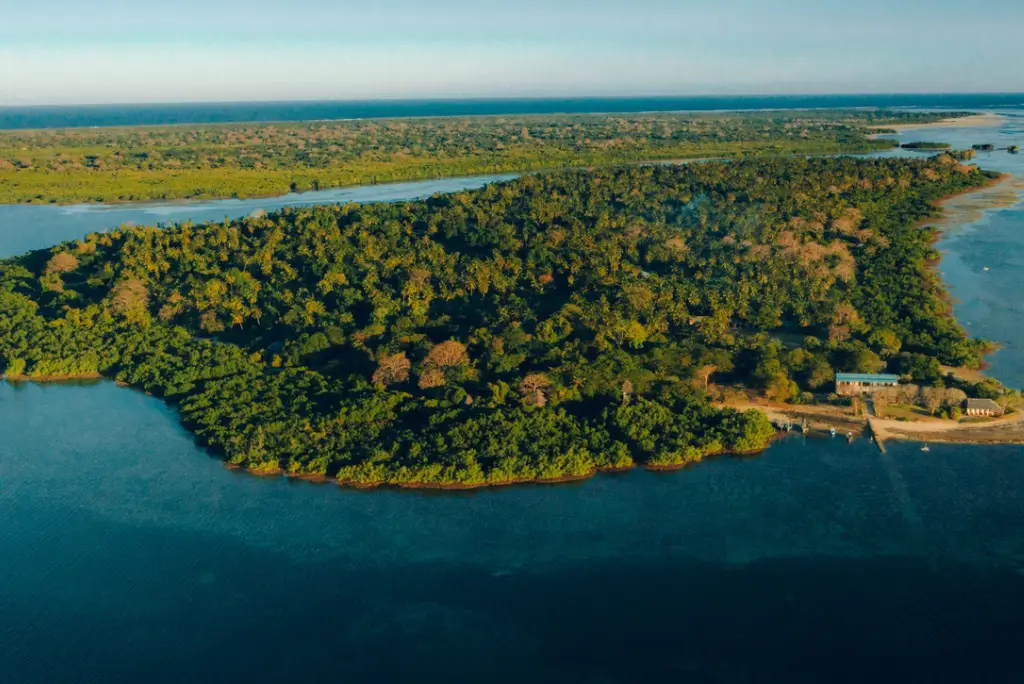 10-day-tanzania-safari-mafia-island-itinerary6