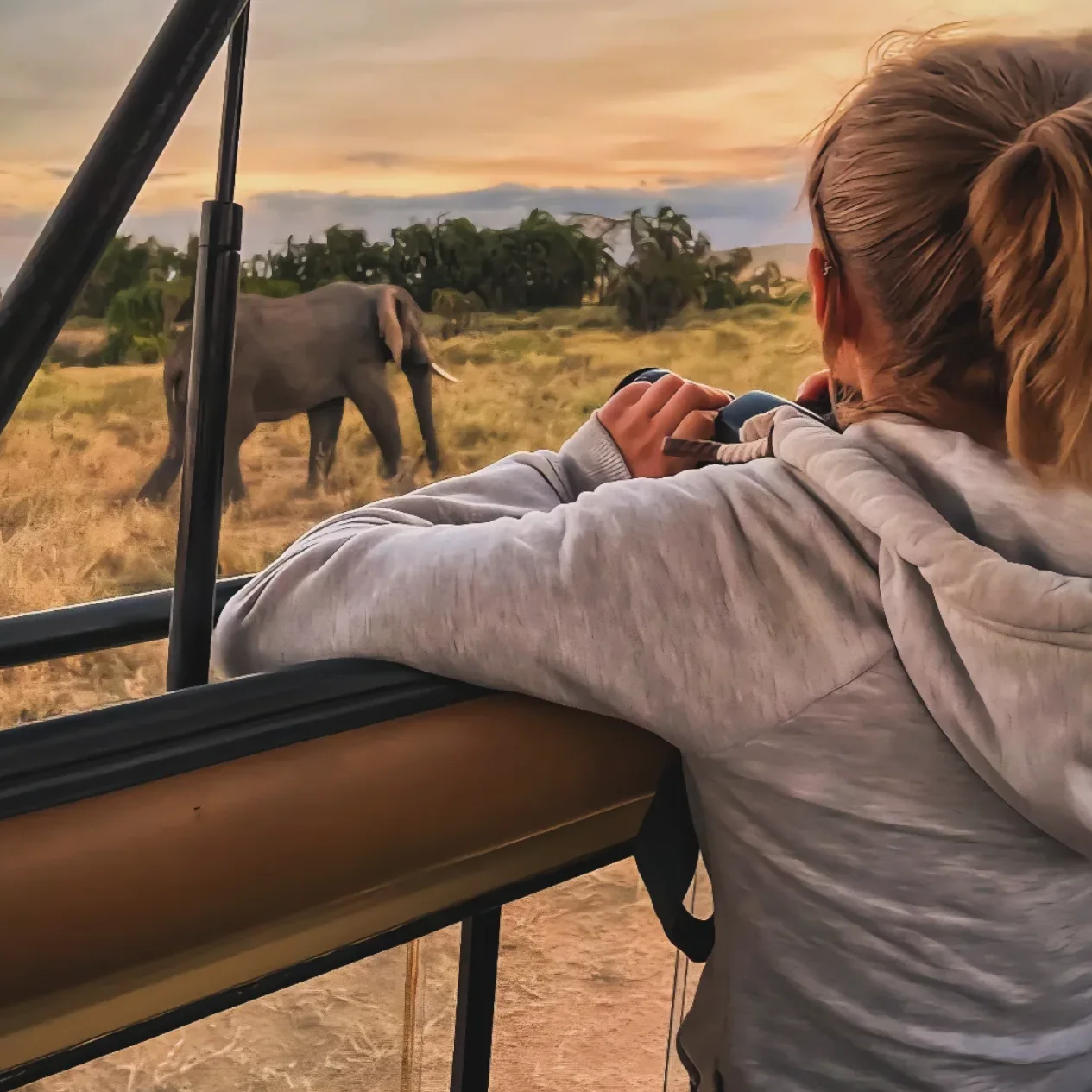 Serengeti Game Drive Safari