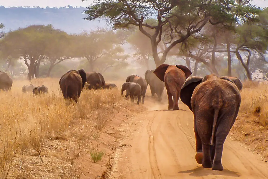 11-day-tanzania-safari-zanzibar-beach2