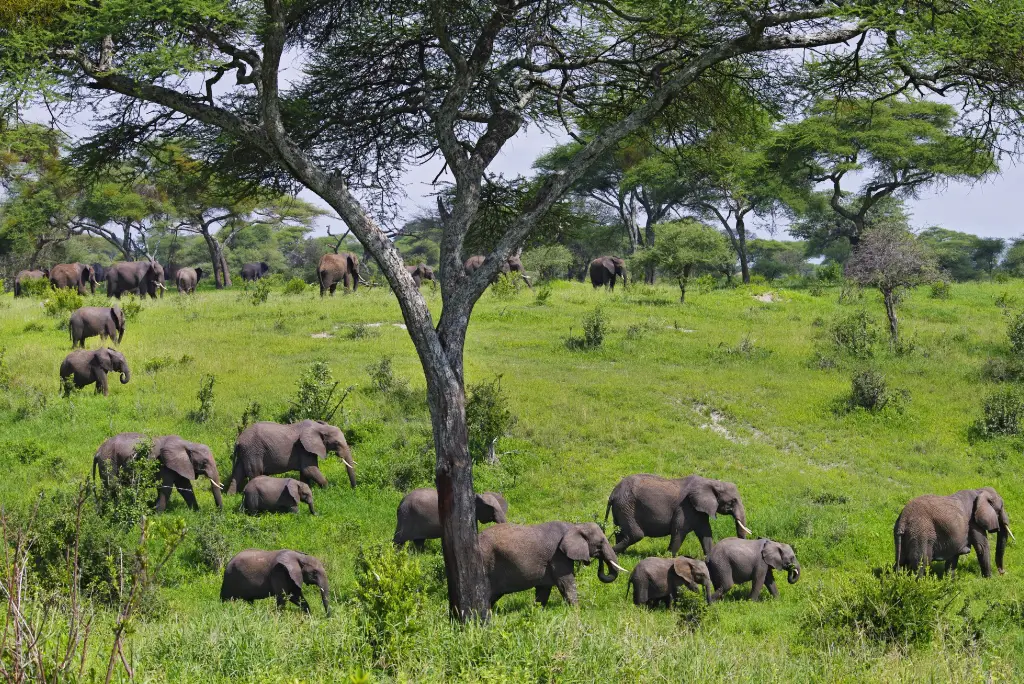 11-day-tanzania-safari-zanzibar-beach3