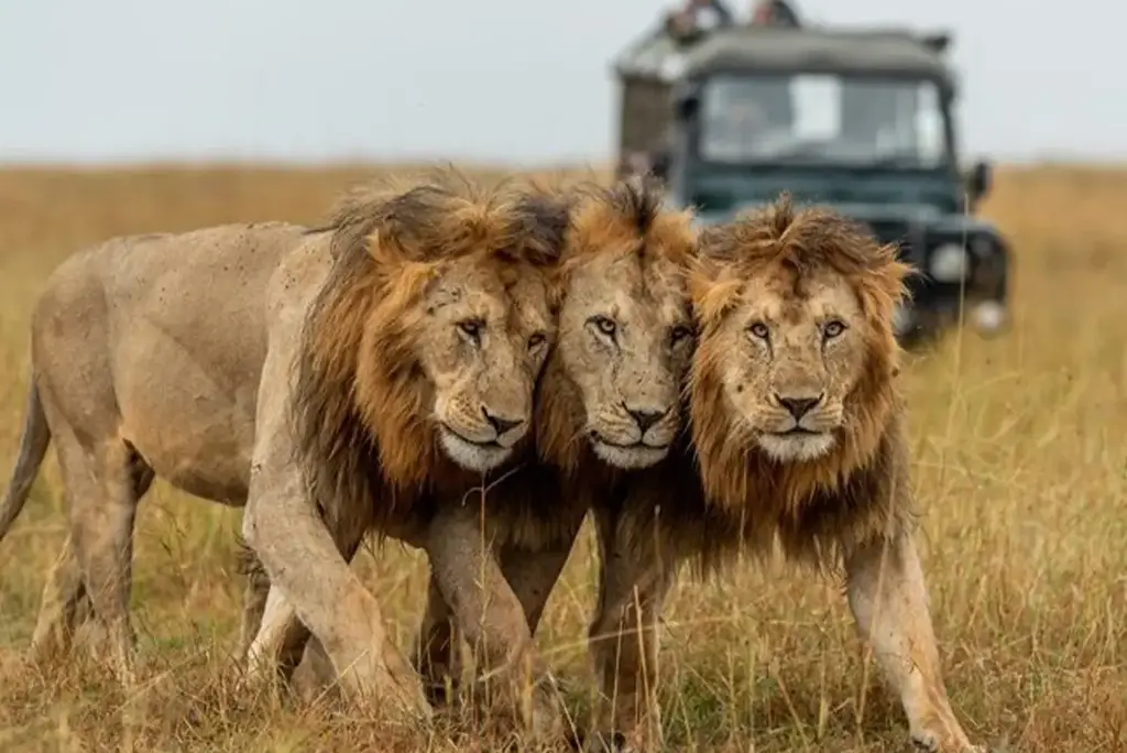 12-day-kenya-tanzania-safari-zanzibar6