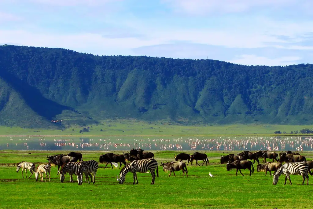 12-day-kenya-tanzania-safari-zanzibar7
