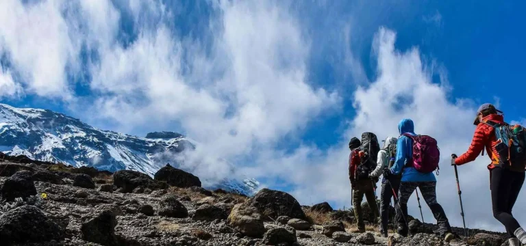 12 Days  Kilimanjaro Trek & Tanzania Safari | Machame Route + Serengeti