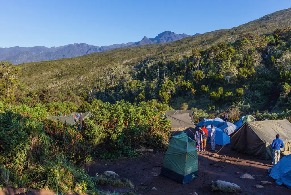 12-day-kilimanjaro-trek-and-tanzania-safari-itinerary2