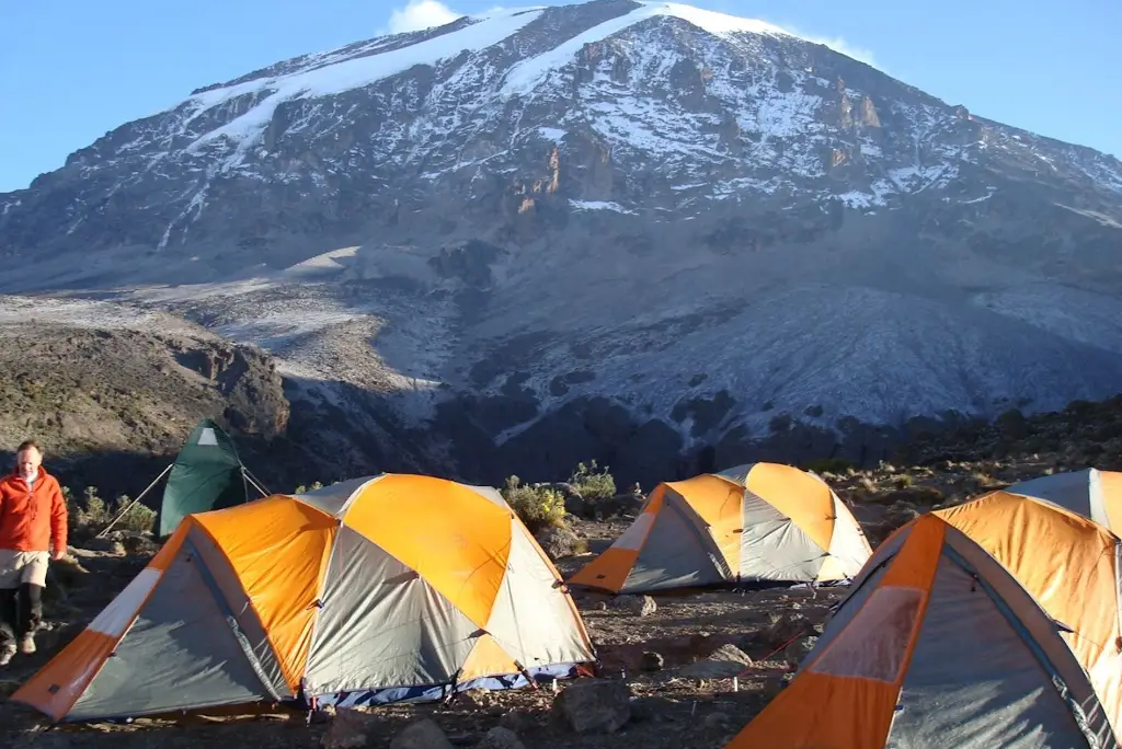 12-day-kilimanjaro-trek-and-tanzania-safari-itinerary5
