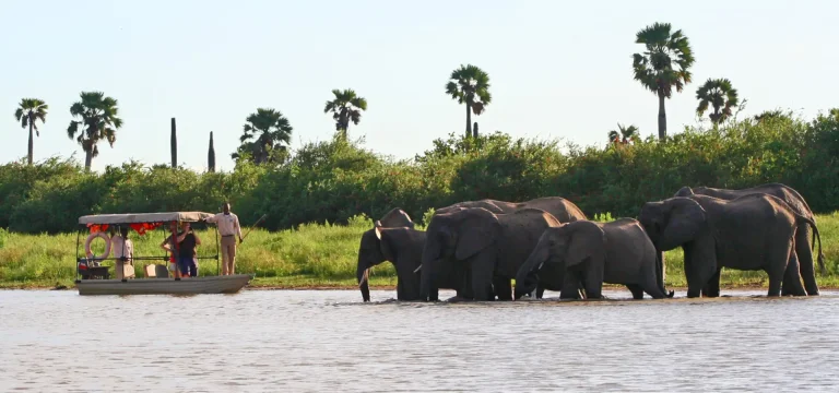 13  Days  Southern Tanzania Safari Itinerary – Selous, Mikumi, Ruaha & Udzungwa