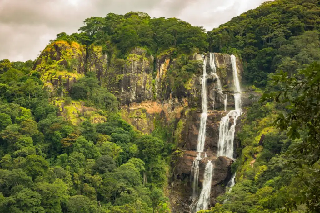 13-day-southern-tanzania-safari-itinerary12