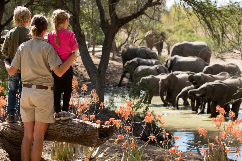 13-day-southern-tanzania-safari-itinerary3