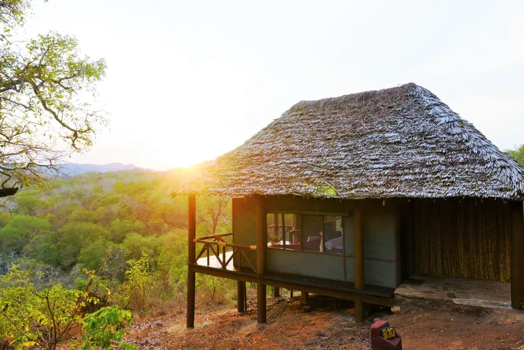 13-day-southern-tanzania-safari-itinerary4