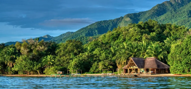 17  Days  Southern Tanzania Safari + Gombe Chimpanzee Trekking & Zanzibar