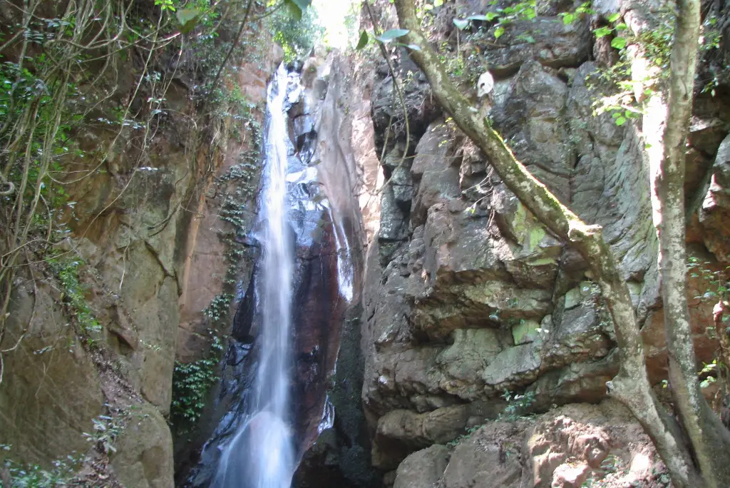 17-day-southern-tanzania-safari-gombe-chimpanzee-trekking-zanzibar11