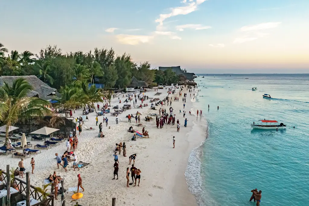 17-day-southern-tanzania-safari-gombe-chimpanzee-trekking-zanzibar15
