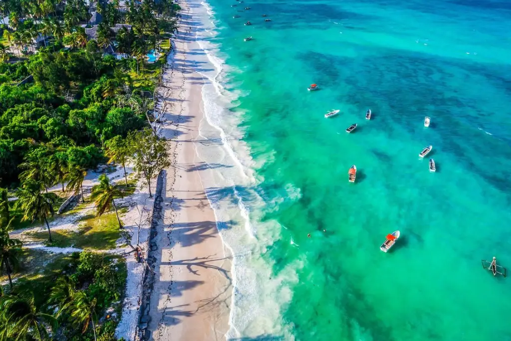 17-day-southern-tanzania-safari-gombe-chimpanzee-trekking-zanzibar16