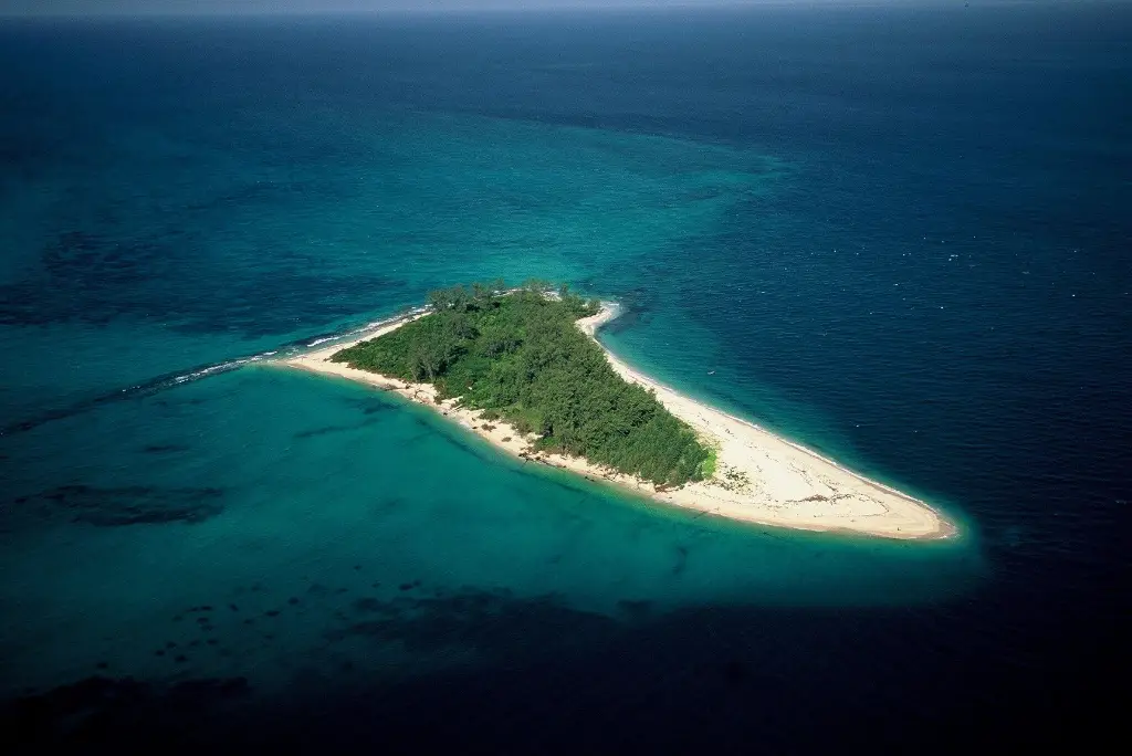 17-day-southern-tanzania-safari-gombe-chimpanzee-trekking-zanzibar17
