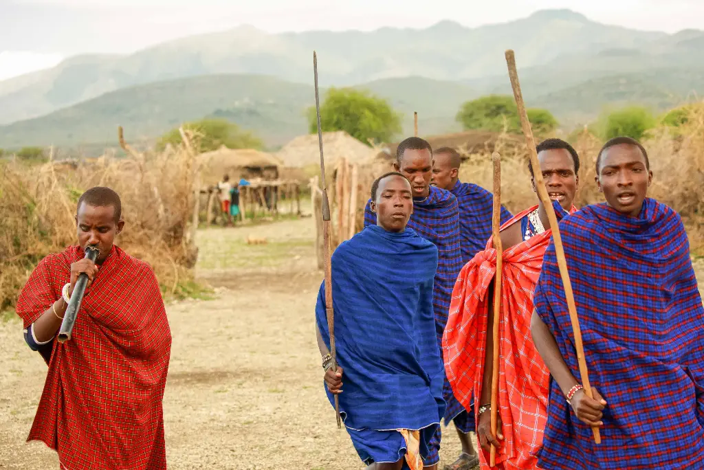17-day-southern-tanzania-safari-gombe-chimpanzee-trekking-zanzibar3