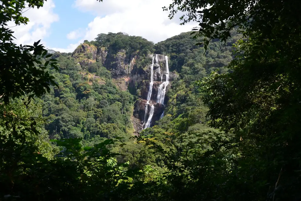 17-day-southern-tanzania-safari-gombe-chimpanzee-trekking-zanzibar5
