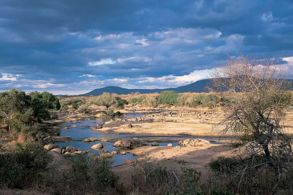 17-day-southern-tanzania-safari-gombe-chimpanzee-trekking-zanzibar6