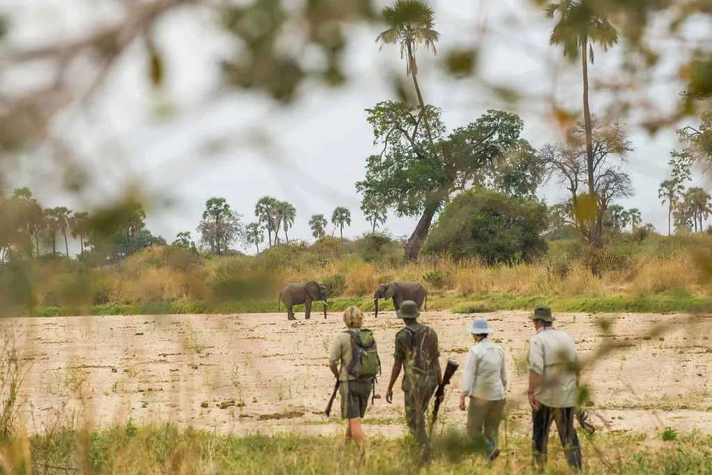 19-day-northern-and-southern-tanzania-safari-itinerary10