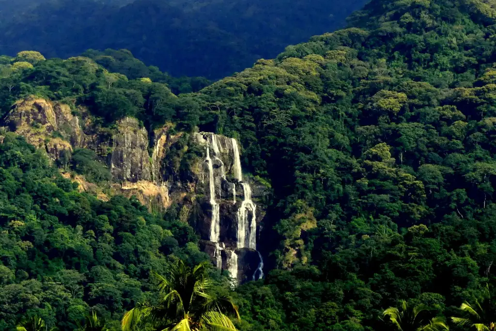 19-day-northern-and-southern-tanzania-safari-itinerary12