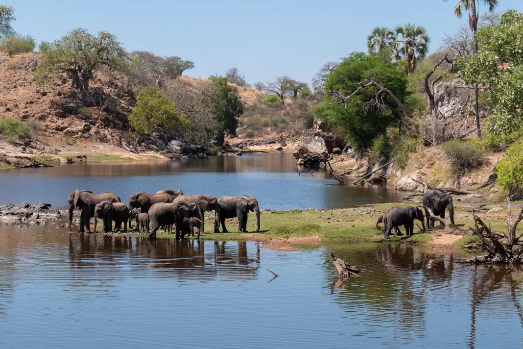 19-day-northern-and-southern-tanzania-safari-itinerary9
