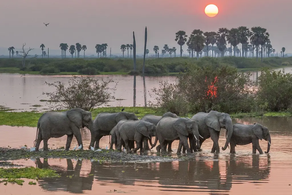 19-day-southern-tanzania-safari-itinerary2