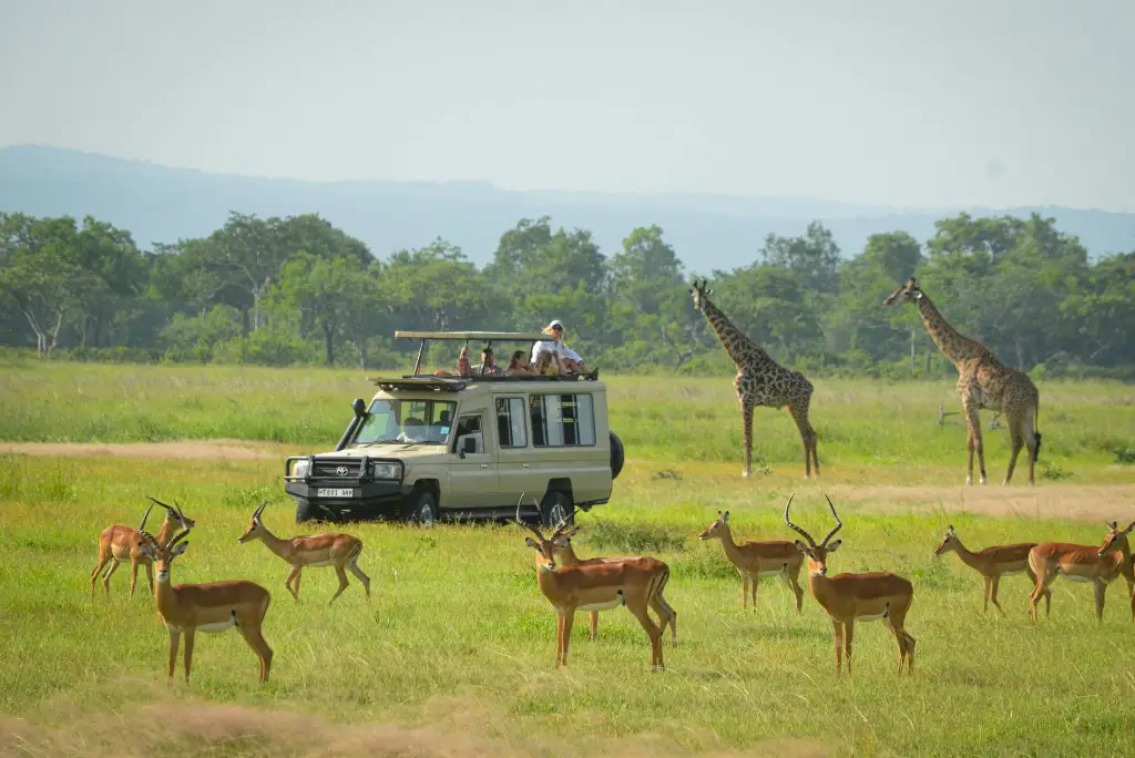 19-day-southern-tanzania-safari-itinerary6