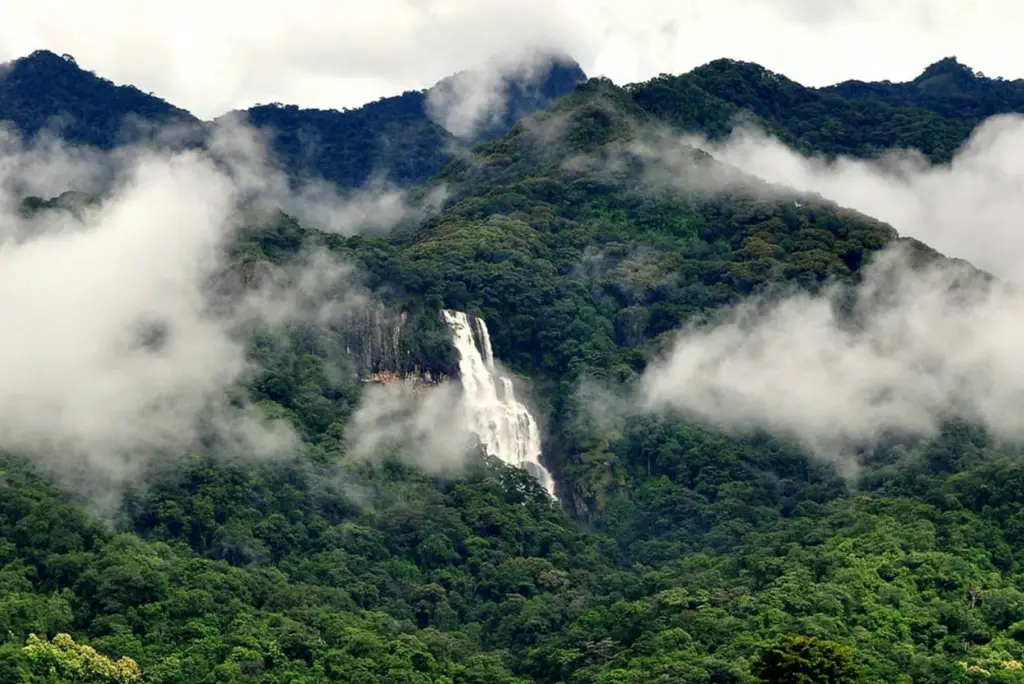 19-day-southern-tanzania-safari-itinerary7