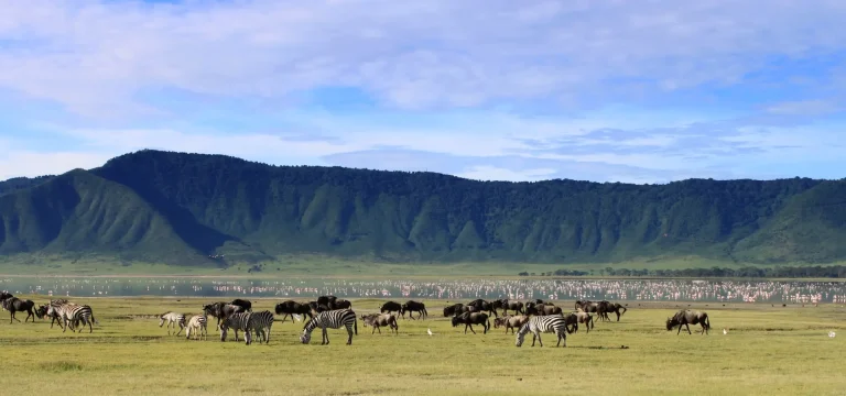 2  Days  Ngorongoro Crater & Tarangire Safari from Zanzibar