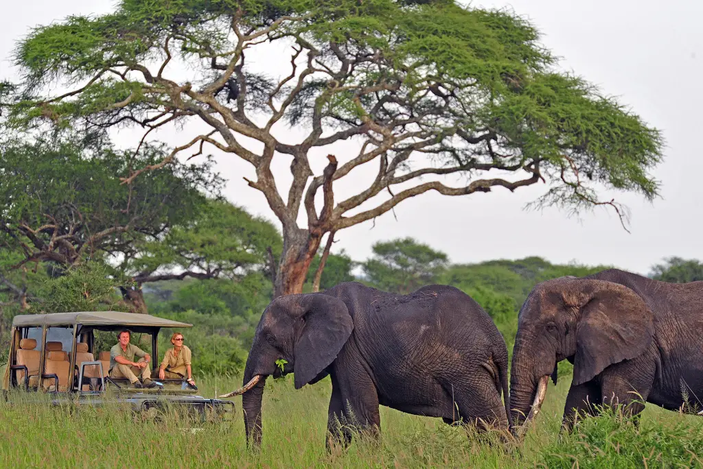 2-day-ngorongoro-tarangire-safari-from-zanzibar1