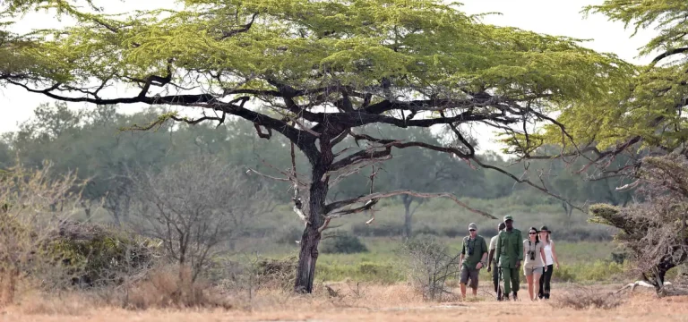 2  Days  Nyerere National Park Safari from Zanzibar – Ultimate Wildlife Escape