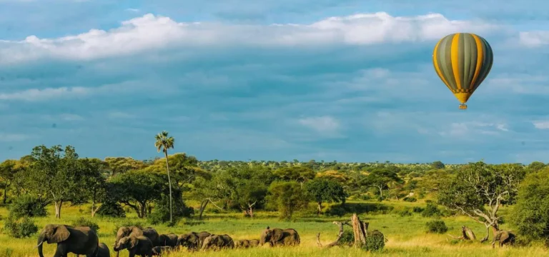 2  Days  Tanzania Safari from Arusha – Tarangire & Ngorongoro Crater Tour