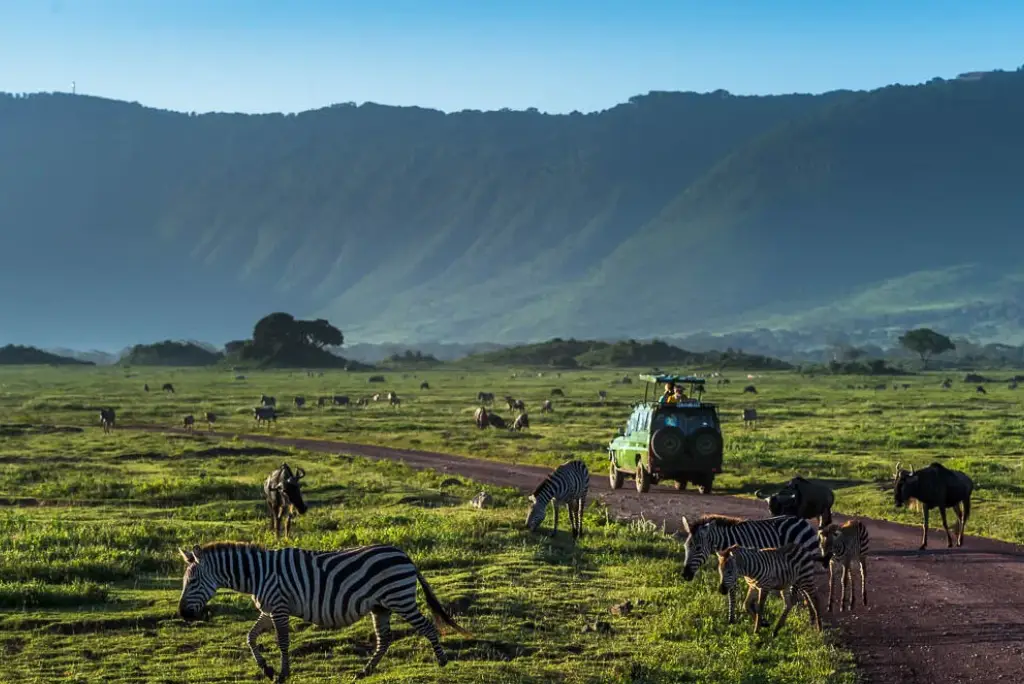2-day-tanzania-safari-arusha2